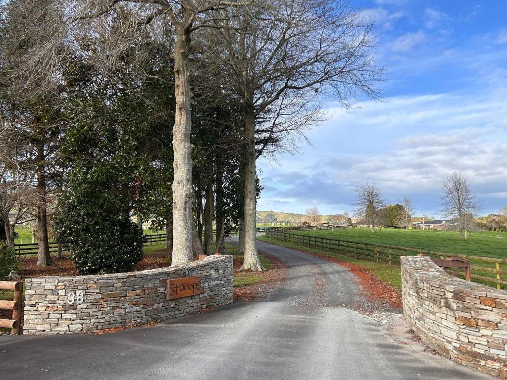 Benn Rd Cottage 坎布里奇 外观 照片